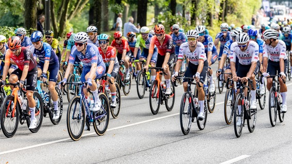 Das Fahrerfeld bei den Cyclassics © picture alliance Foto: Axel Heimken