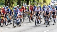 Das Fahrerfeld bei den Cyclassics © picture alliance Foto: Axel Heimken