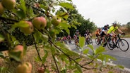 Teilnehmer der Cyclassis fahren auf einer Landstraße © dpa-Bildfunk 