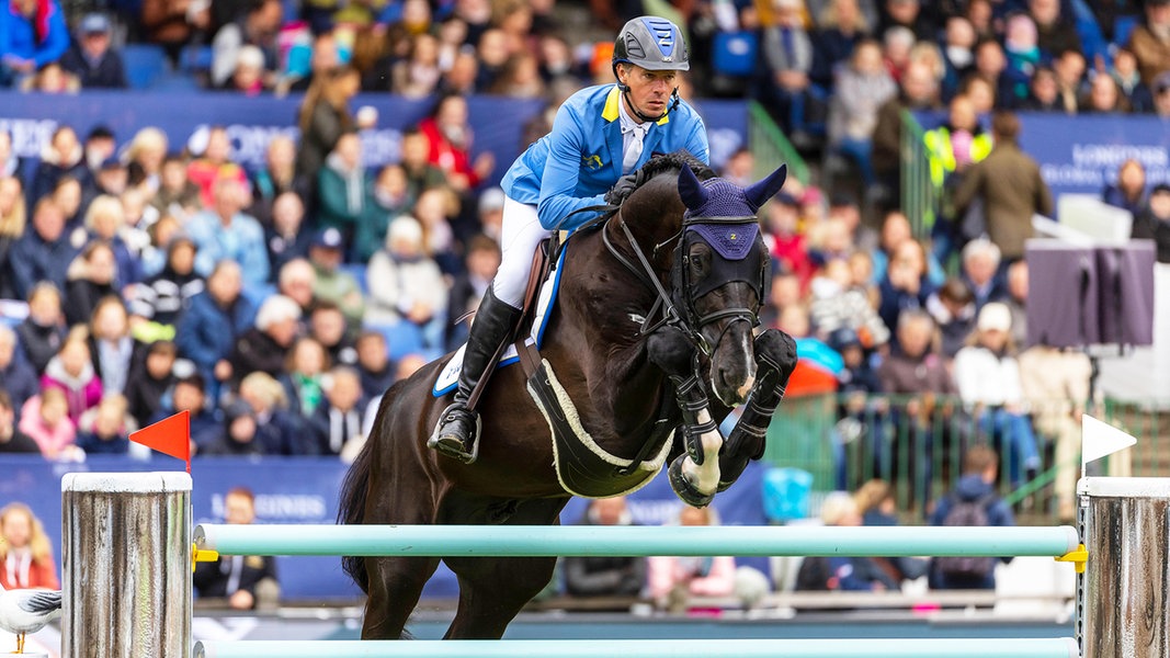 Show jumper Ahlmann wins Grand Prix of Hamburg |  NDR.de – Sports