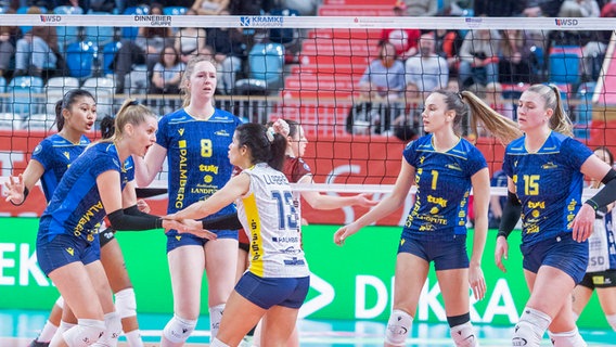 Die Schweriner Volleyballerinnen © IMAGO / Ostseephoto 