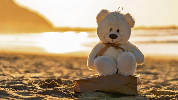 Ein Teddybär sitzt auf einem Felsen am Strand. Die Sonne geht im Hintergrund unter und schafft eine warme und friedliche Atmosphäre. © picture alliance / imageBROKER Foto: Unai Huizi