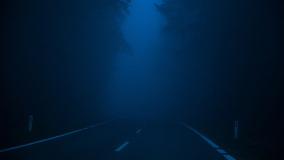 Straße im Wald bei Dunkelheit. © photocase Foto: Thomas K.
