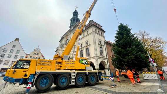 Kran stellt einen Weihnachtsbaum vor dem Lüneburger Rathaus auf © Stadt Lüneburg Foto: Stadt Lüneburg