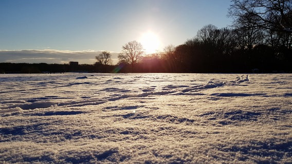 Snow-covered city park in Hamburg at sunrise © NDR Photo: Jochen Lambernd