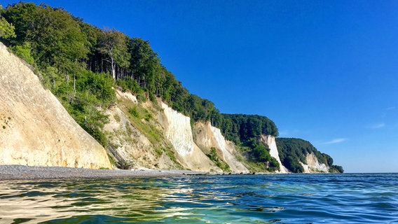 Aus dem Blick vom Wasser sieht man die von der Sonne angeleuchteten Kreideklippen vom Nationalpark Jasmund. © NDR Foto: Peter Heydemann